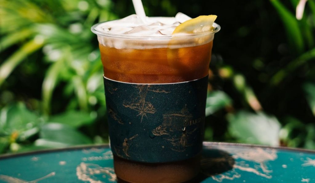 iced cold brew coffee with a lemon - ee220318