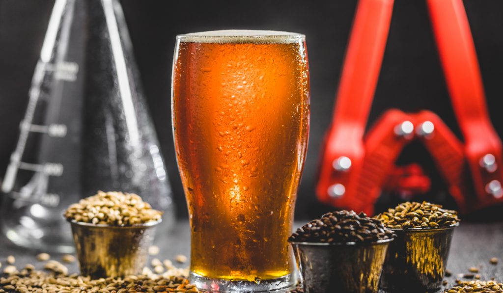 Homebrew-Honey-Brown-Beer-Different-Barley-and-Brewing-Equipment-in-Studio-with-Dramatic-Light