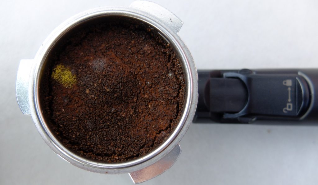 Mold in used coffee grounds in coffee stalks