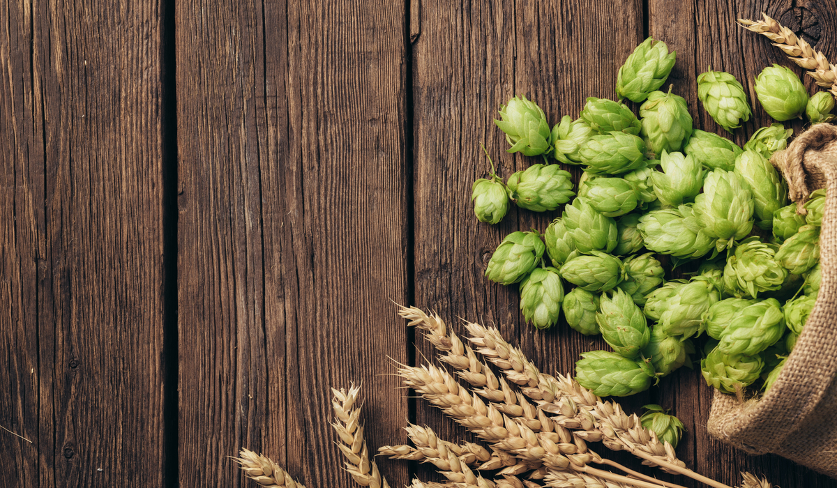 Why Does My Beer Taste Sweet? (8 Causes and Solutions!) Mariposa Brewing