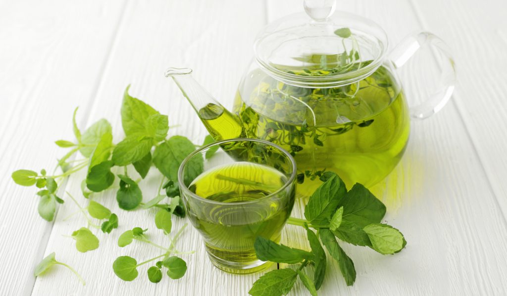 healthy green tea leaves tea cup